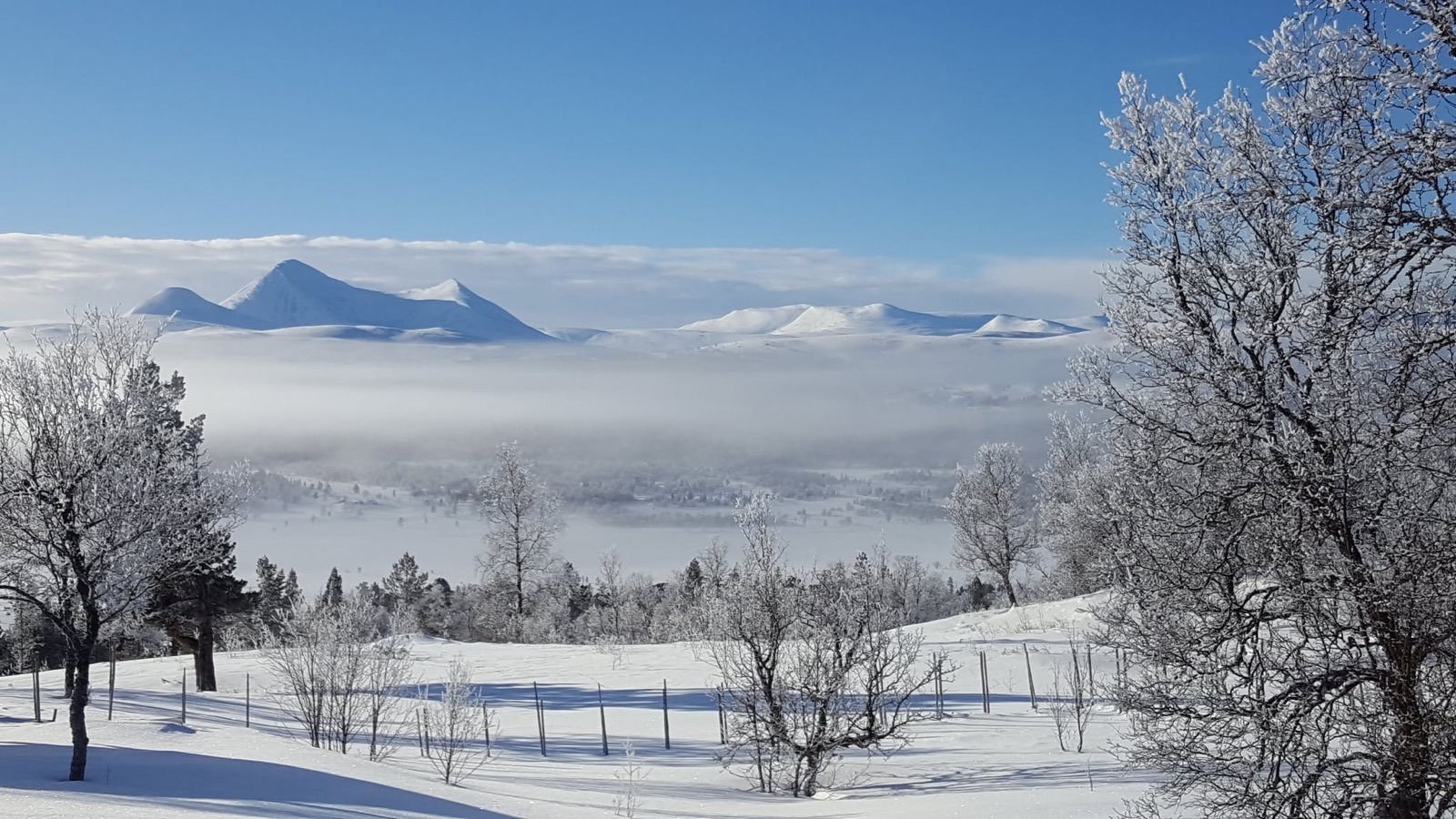 Sølnkletten og Alvdal Vestfjell stiger opp av tåkehavet, med rimfrost i forgrunnen