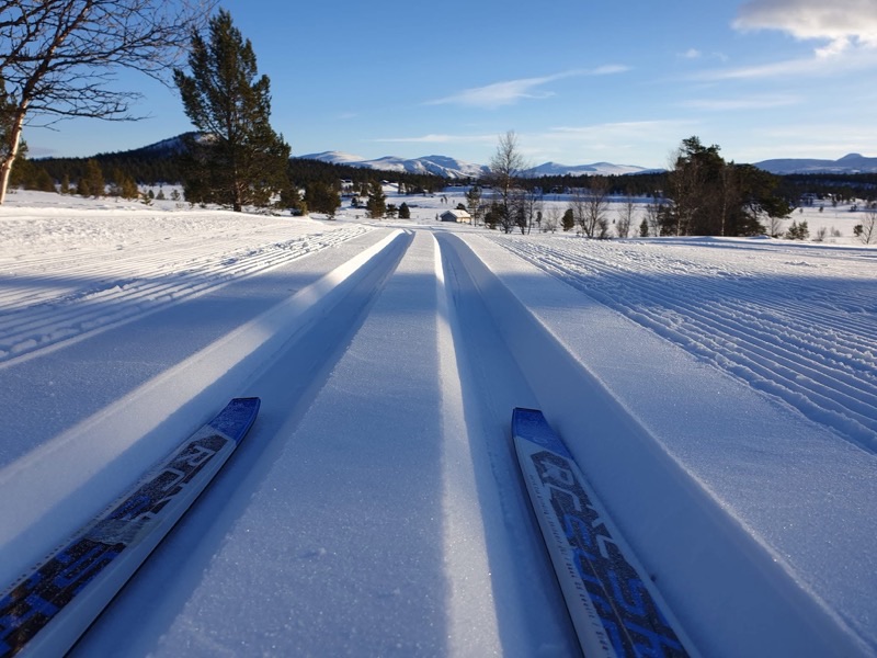 Skispor sett fra ski i nykjørt løype